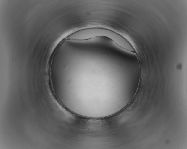 X0000091921142200709261636