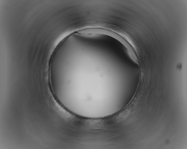 X0000091921143200709261636