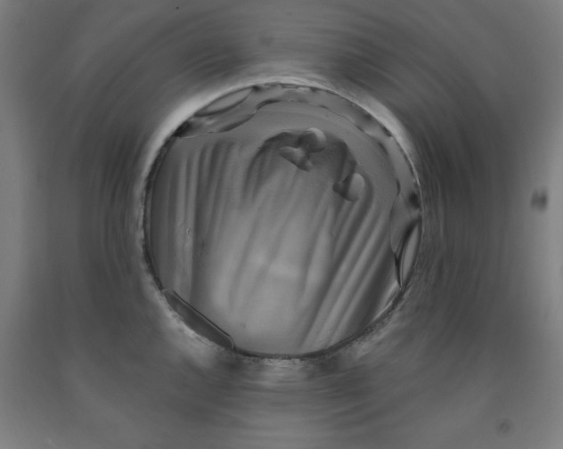 X0000091921144200709261636