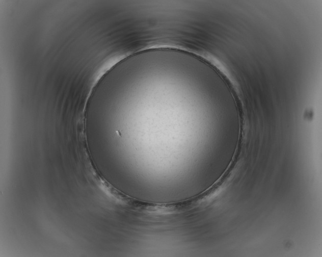 X0000091921145200709261636