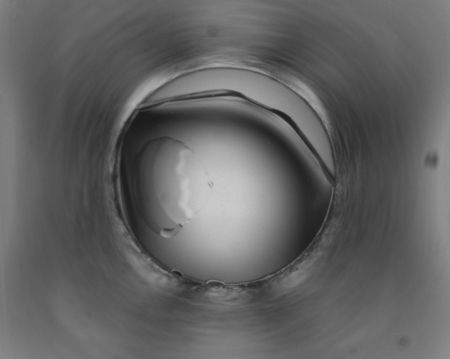 X0000091921146200709261636