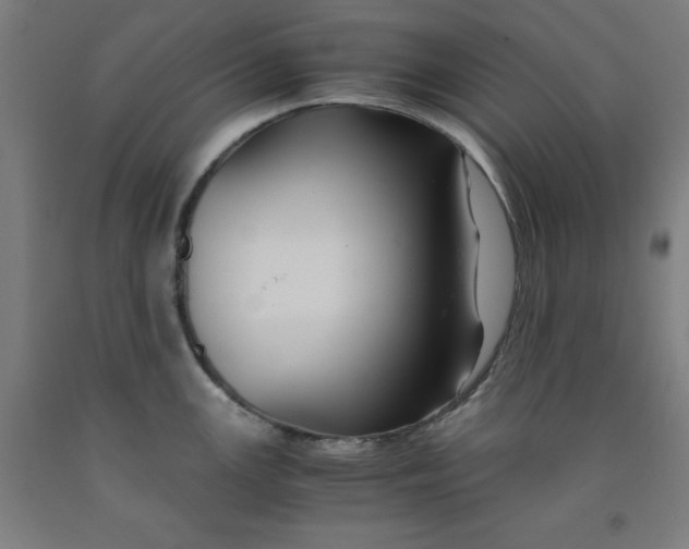 X0000091921147200709261636