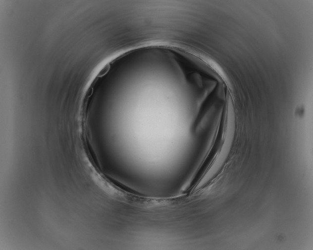 X0000091921148200709261636