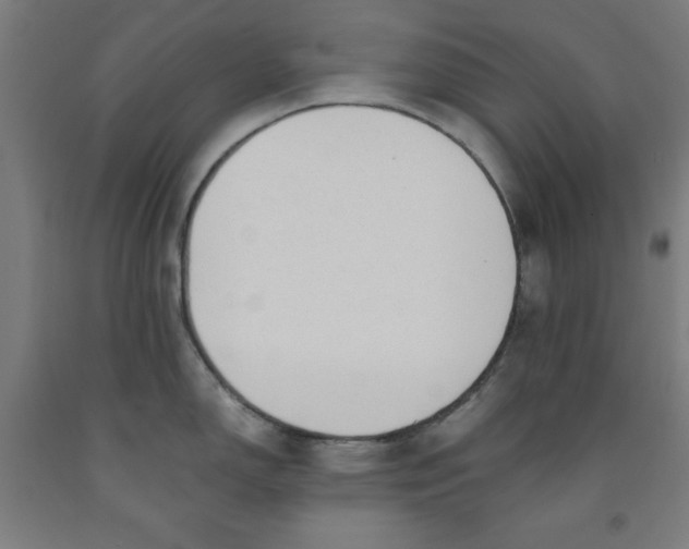 X0000091921150200709261636