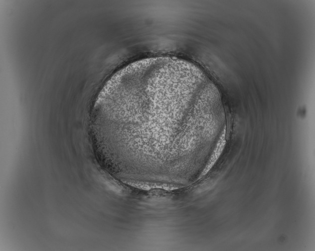 X0000091921153200709261636