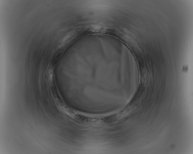 X0000091921154200709261636