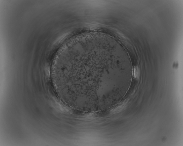 X0000091921155200709261636