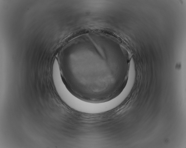 X0000091921156200709261636