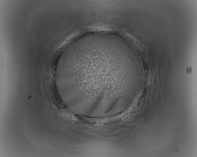 X0000091921157200709261636