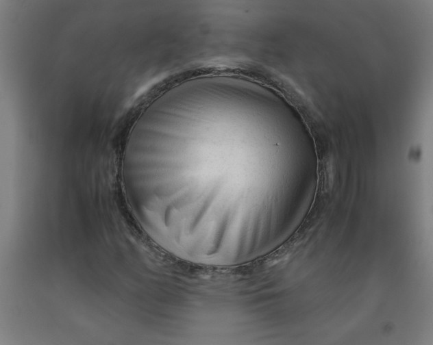 X0000091921158200709261636