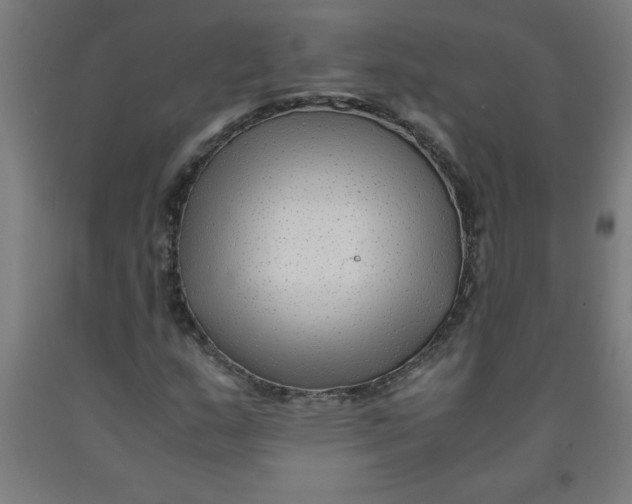 X0000091921159200709261636