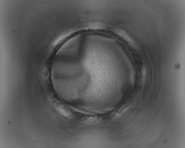 X0000091921160200709261636