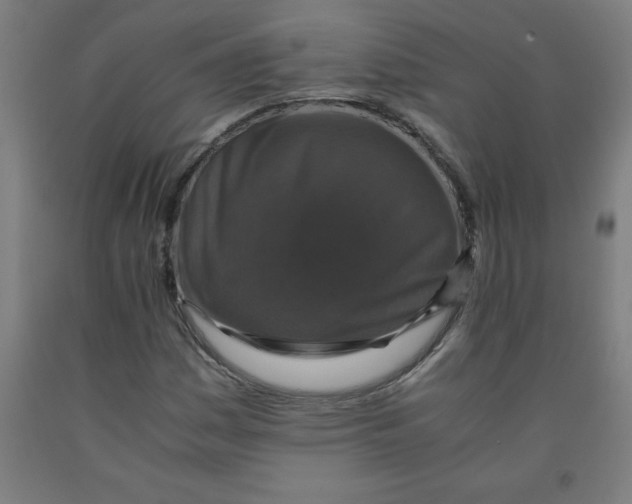 X0000091921161200709261636