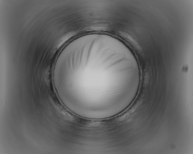 X0000091921162200709261636