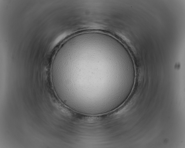 X0000091921163200709261636