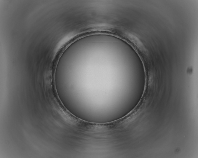 X0000091921164200709261636