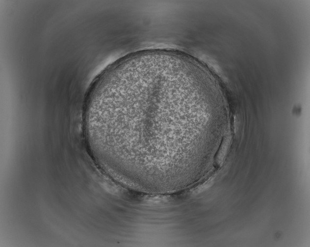 X0000091921165200709261636