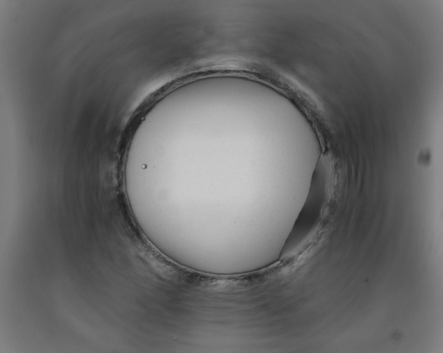 X0000091921166200709261636