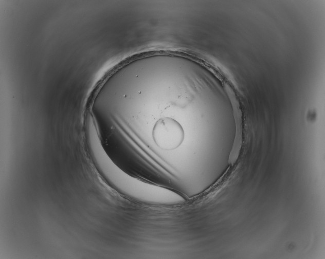 X0000091921168200709261636