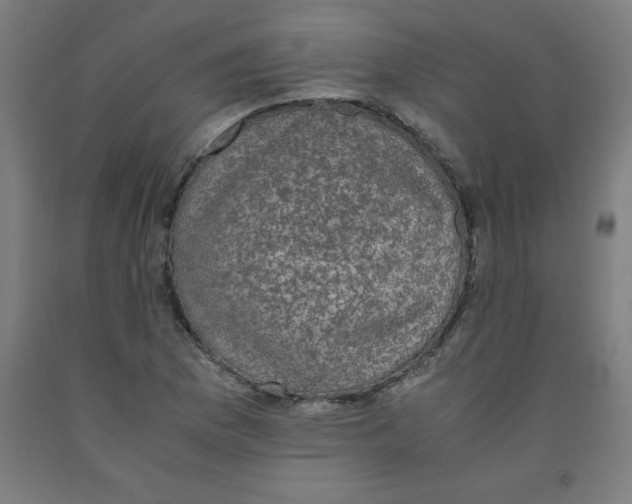 X0000091921169200709261636