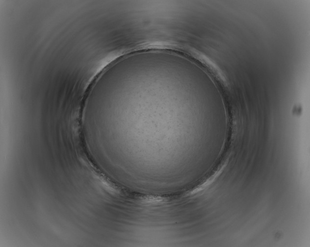 X0000091921170200709261636