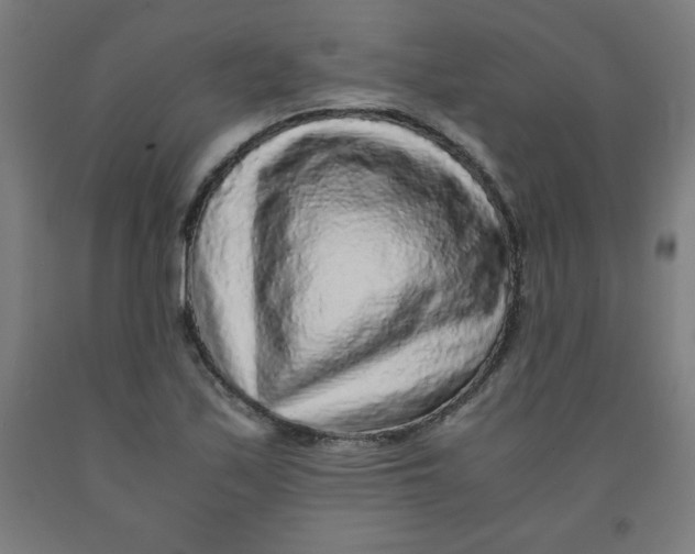 X0000091921171200709261636