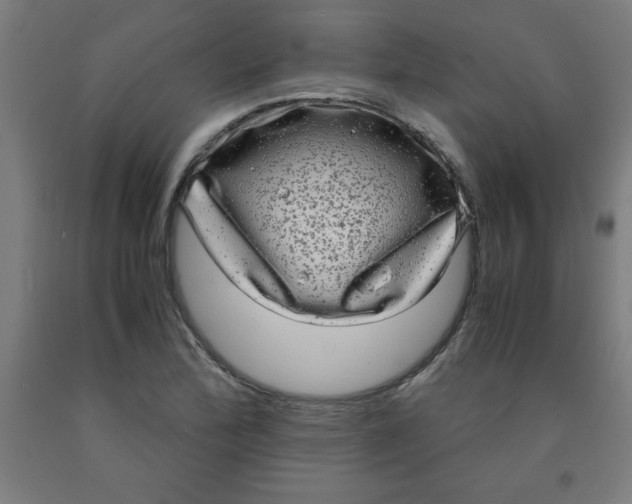 X0000091921172200709261636