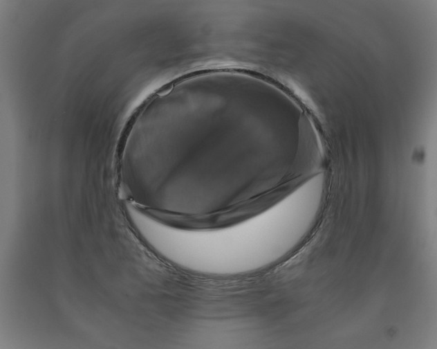 X0000091921173200709261636