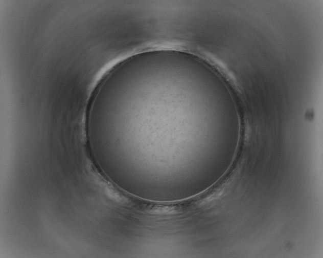 X0000091921174200709261636