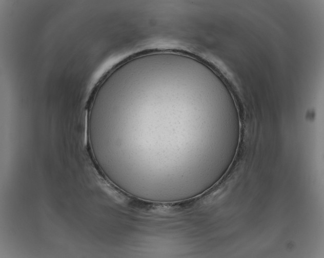 X0000091921175200709261635