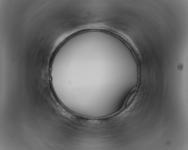 X0000091921176200709261635