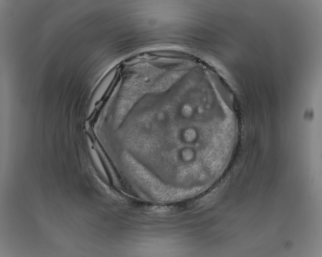 X0000091921177200709261635