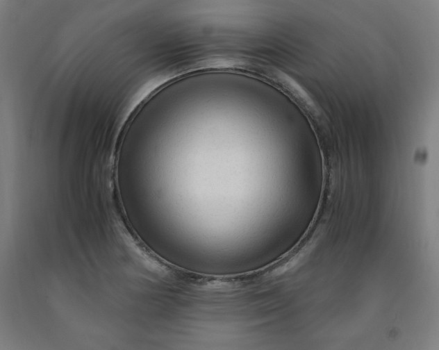 X0000091921178200709261635