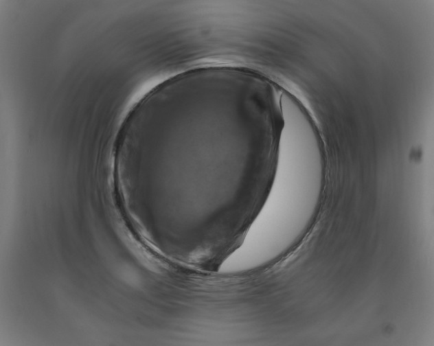 X0000091921179200709261635