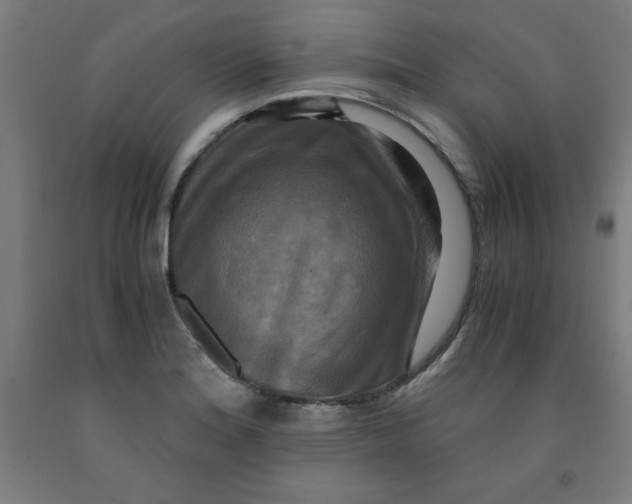 X0000091921180200709261635