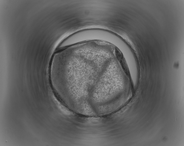 X0000091921181200709261635