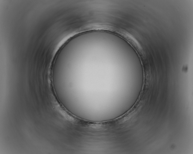 X0000091921182200709261635