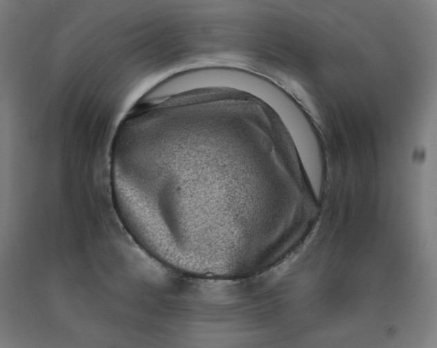 X0000091921184200709261635