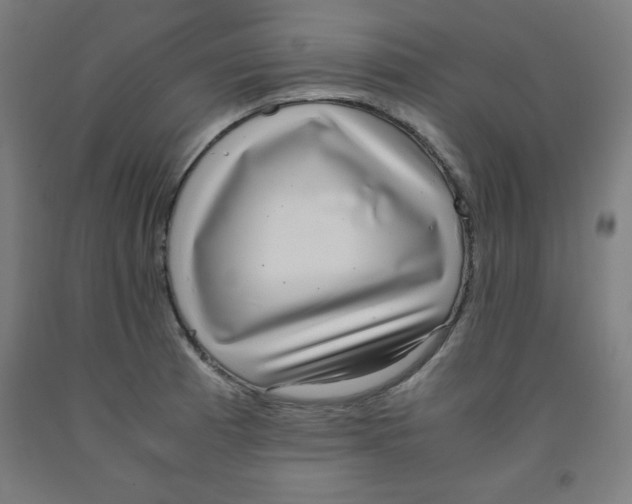 X0000091921185200709261635