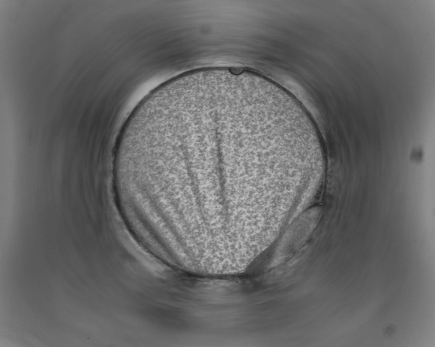 X0000091921187200709261635