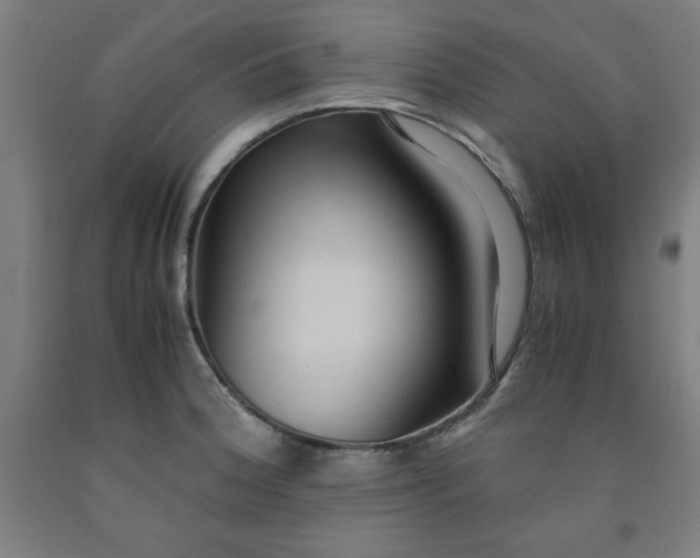 X0000091921188200709261635