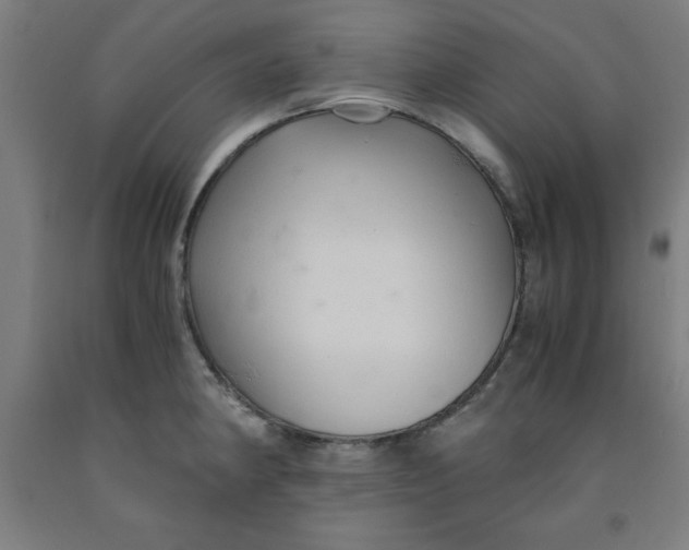 X0000091921190200709261635