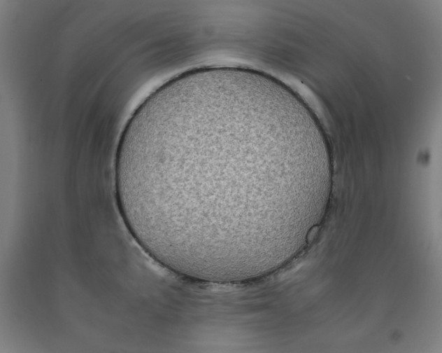 X0000091921191200709261635