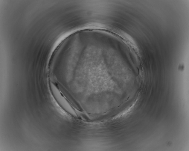 X0000091921192200709261635