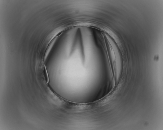 X0000091921193200709261635