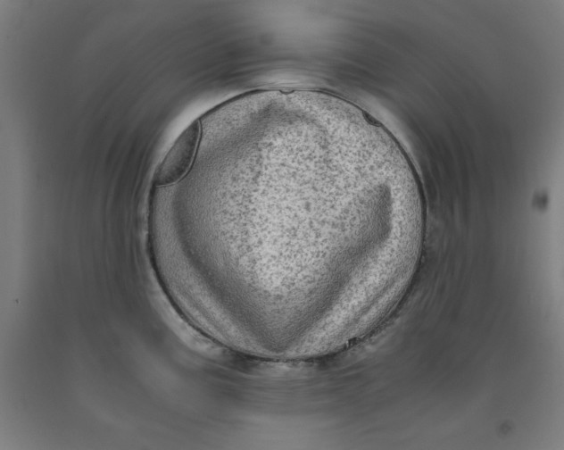 X0000091921195200709261635