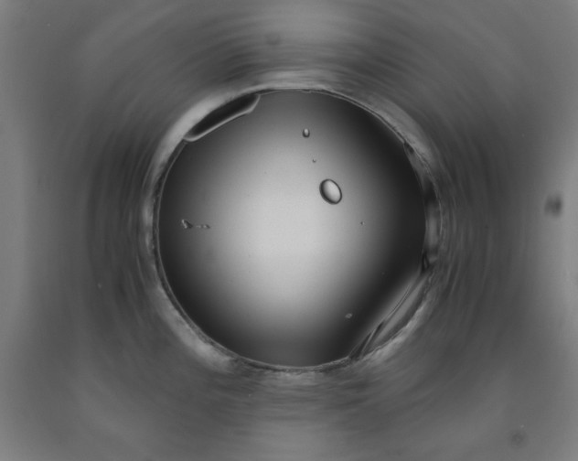 X0000091921196200709261635