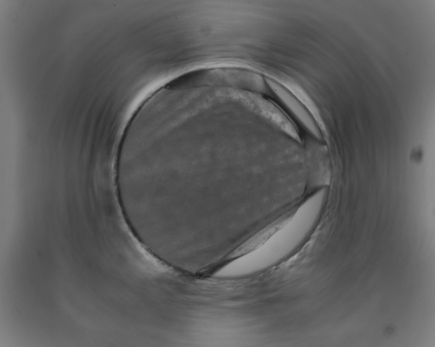 X0000091921197200709261635