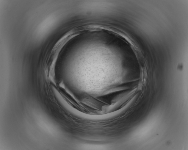 X0000091921198200709261635