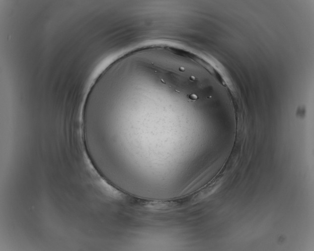 X0000091921199200709261635